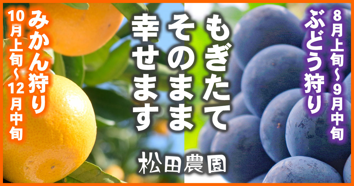 このサイトについて | 松田農園